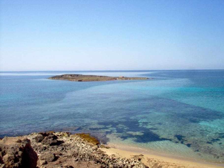 App Girasole 1A 300 Metri Dal Mare In Salento Apartment Торе Сан Джовани Удженто Екстериор снимка